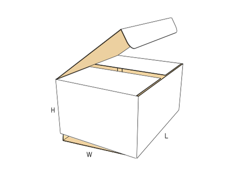 Slotted container — auto bottom