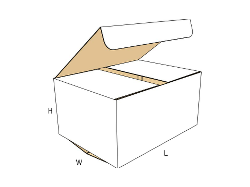 Slotted container — with handle