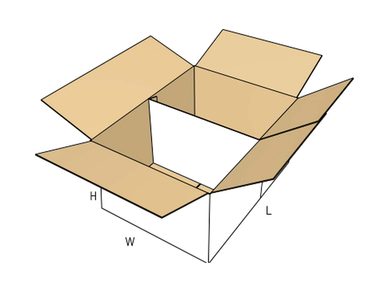 Slotted container — with tray insert
